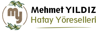 MY Hatay Yöreselleri